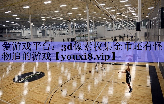 爱游戏平台：3d像素收集金币还有怪物追的游戏
